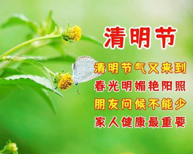 清明节祝福图片大全图片