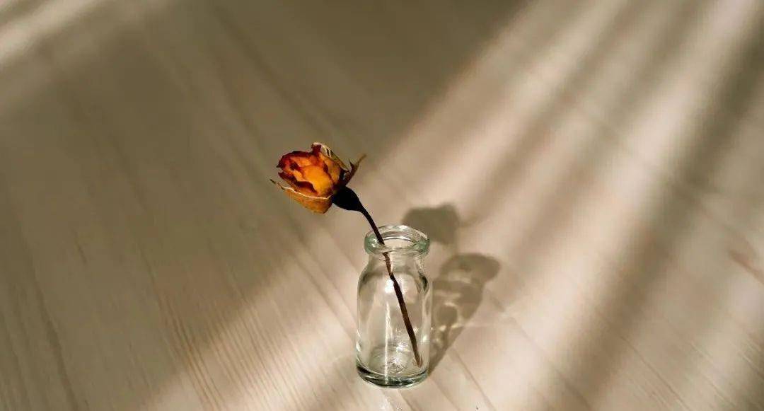 被伤害过的人,如何拥有成熟的感情?_布兰妮_关系_婚姻