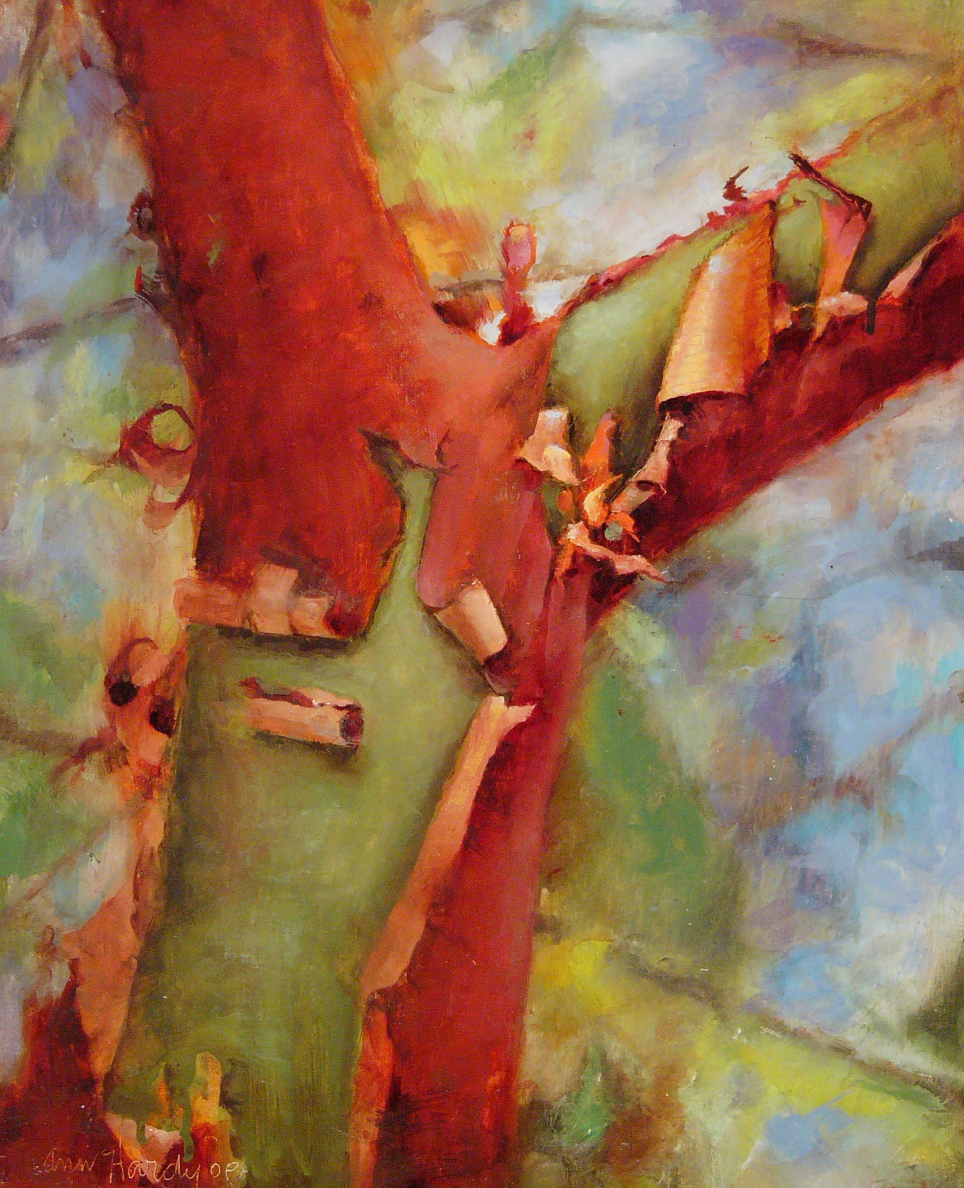 马德龙树过去更好的日子蜂鸟和哥伦拜恩东方蓝鸟红浆果中的山雀bnsf