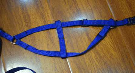 原创狗狗胸背牵引绳怎么套狗绳是项圈好还是背带好