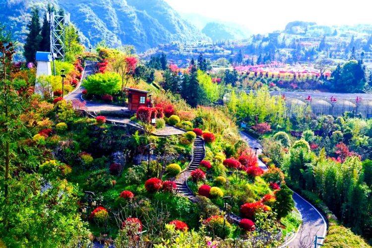 贵州遵义桐梓开元芳草地为你明灯三千美景等你来欣赏