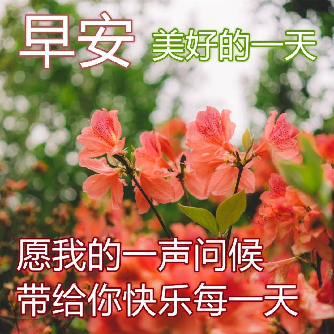 原創送給朋友的祝福圖片集錦最真誠的祝福早上好圖片送朋友