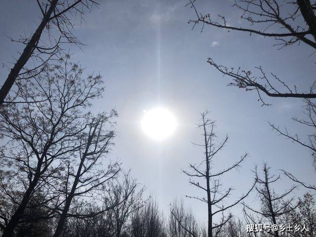 老话说：“节前月不变，夜子用前日”，啥意思？什么是真太阳时？