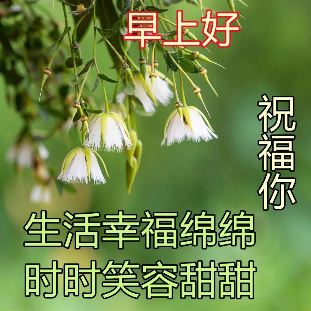 原創送給朋友的祝福圖片集錦最真誠的祝福早上好圖片送朋友