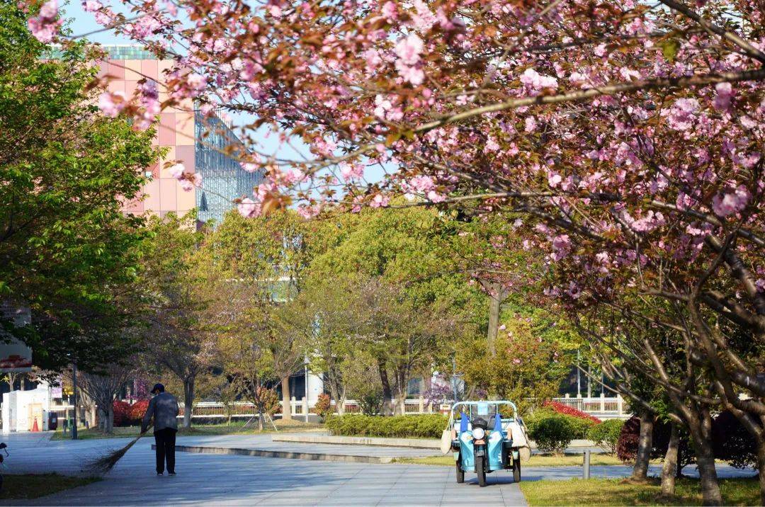 苏州西交利物浦大学西浦校花换届啦