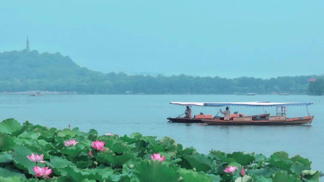 西湖_太子灣公園_千島湖