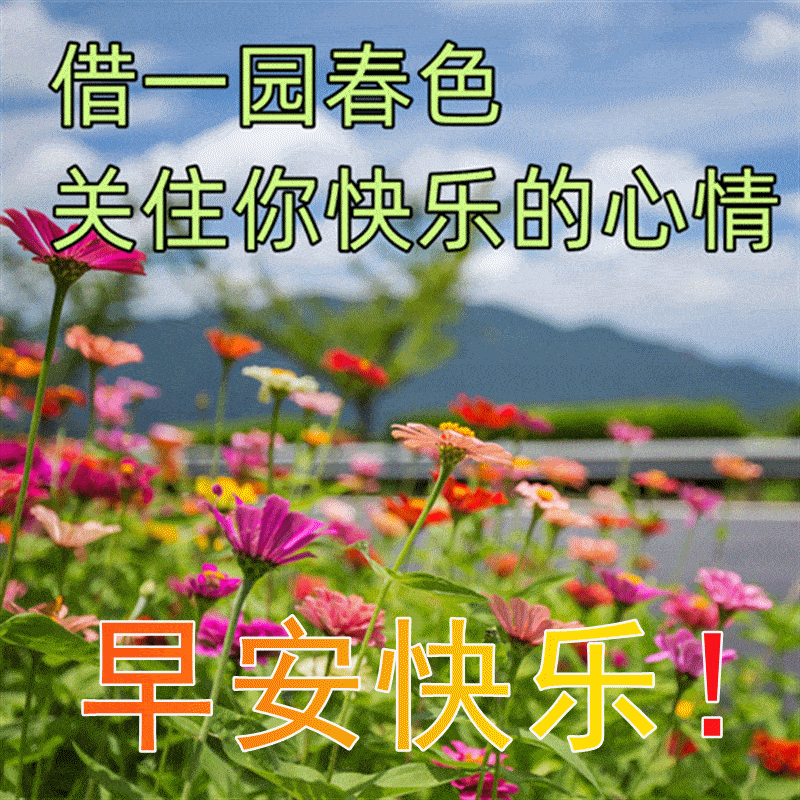 原创8张最美春日风景早上好祝福图片2022漂亮早安问候祝福语图片带字