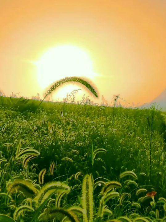 原创唯美清新的句子充满动力值得写在摘抄本上