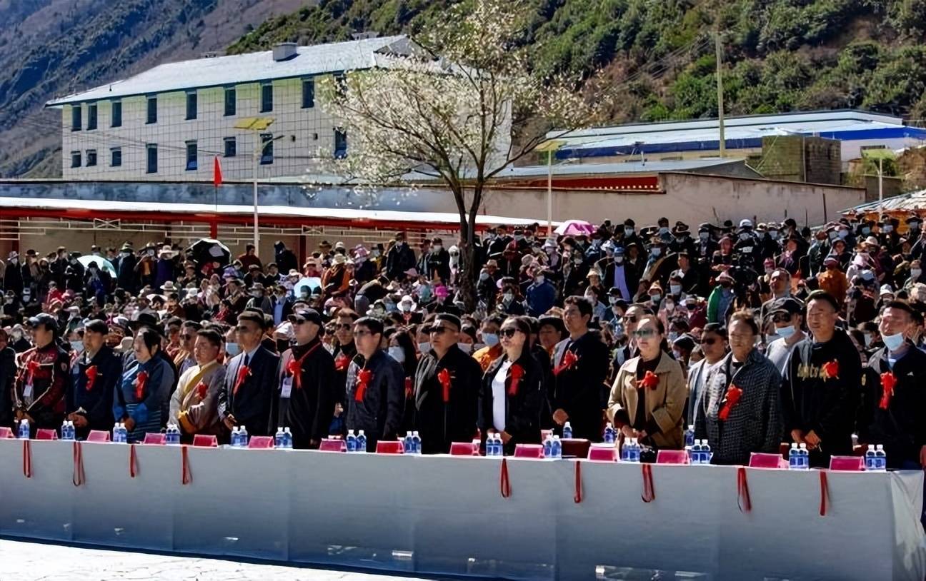 那曲市嘉黎县第七届"尼屋桃花节"启幕,万亩桃花含羞迎客_旅游_活动