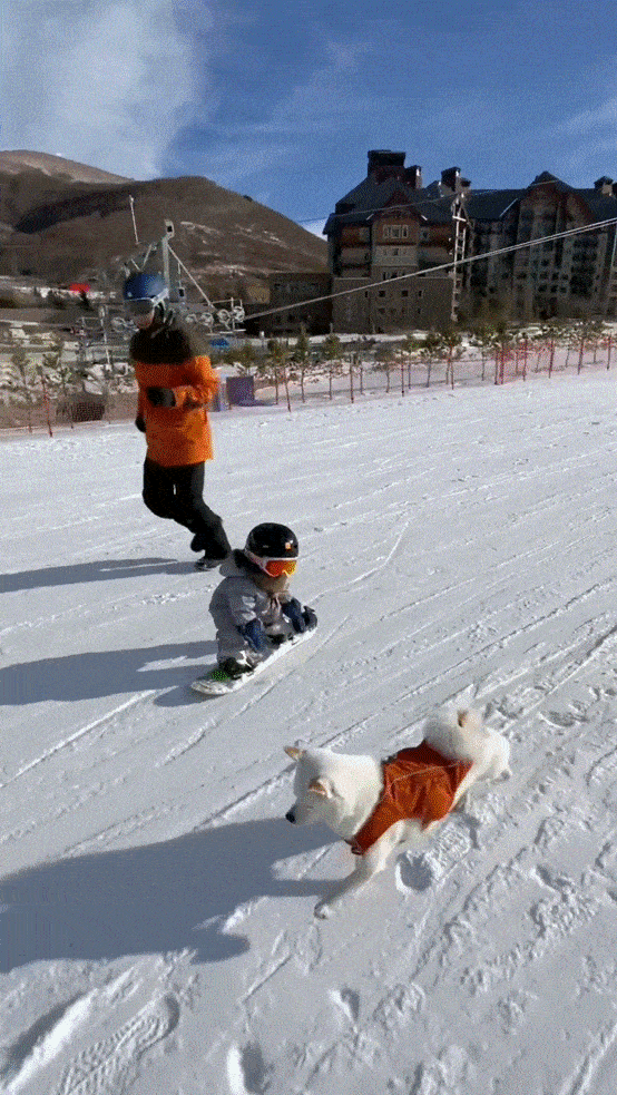 雷竞技RAYBET快乐的滑雪小萌娃(图2)