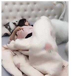 女主人睡觉不小心踢掉被子,萨摩耶的做法,让主人欣慰_狗狗_时候_个