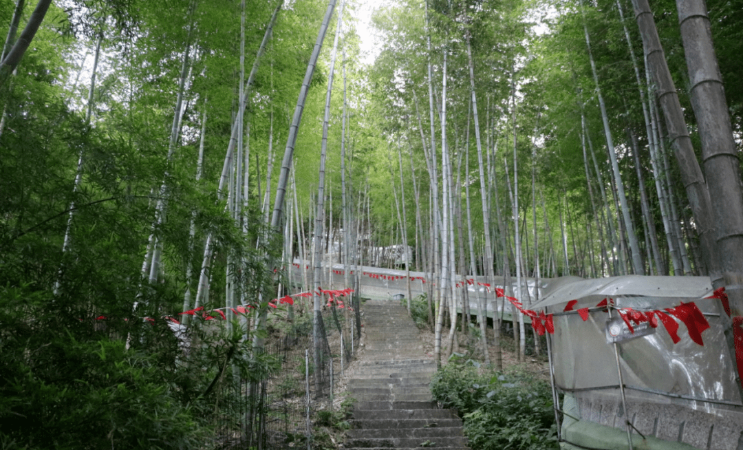 金华凤凰山我氧你