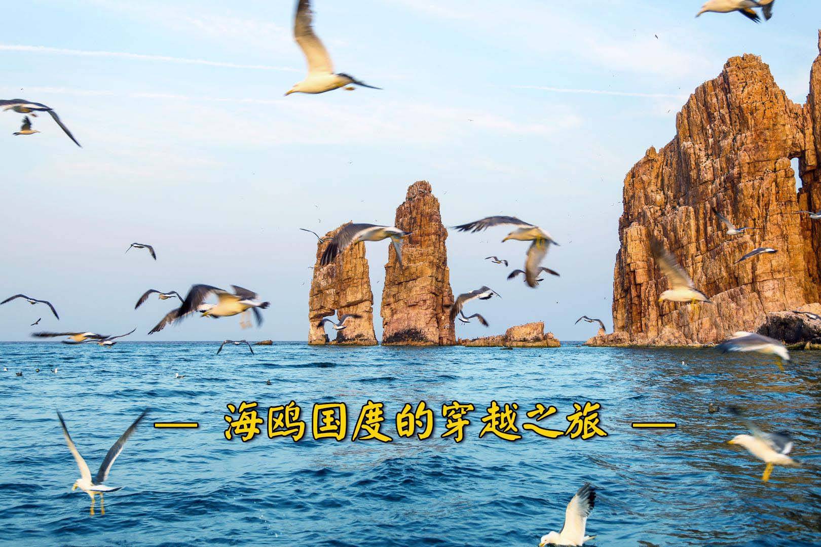 长岛万鸟岛海上游大黑山岛登岛游两条海岛游航线四月即将启航内含福利