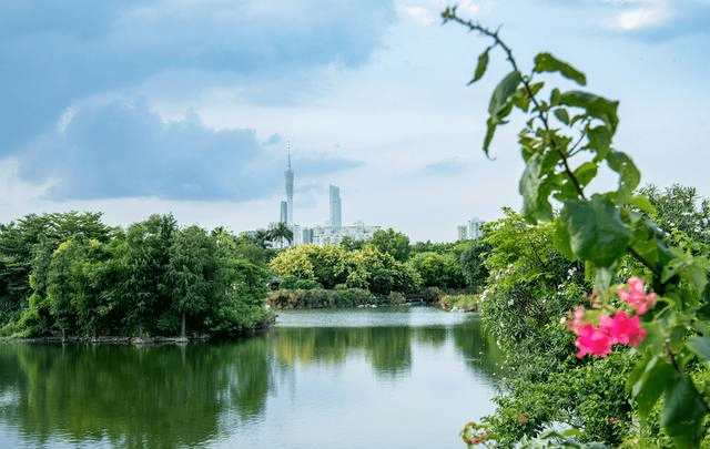 它就是位於海珠區的海珠湖,毗鄰地鐵大塘站,交通非常方便.