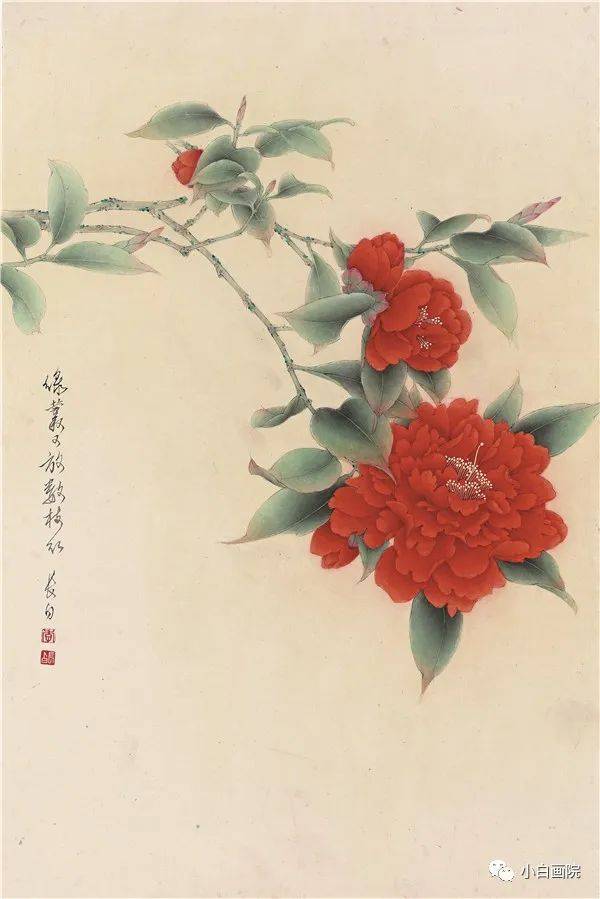 李長白父子工筆茶花作品欣賞小白寫意茶花作品欣賞茶花紅色的絢麗