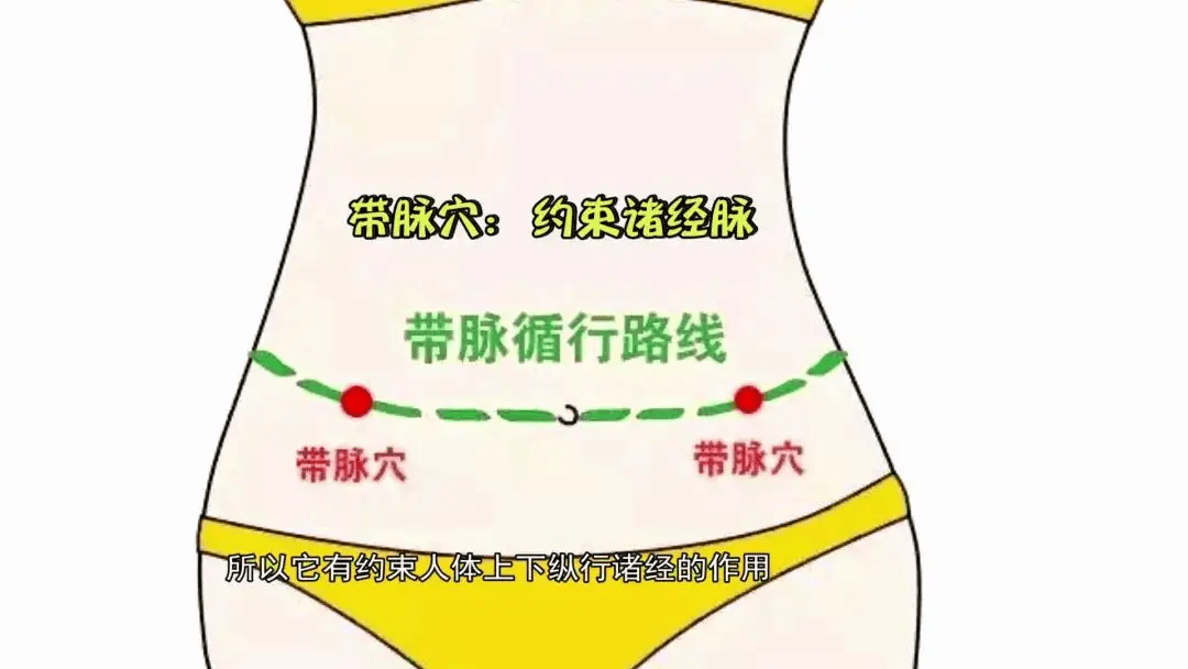 简单的来说,就是腹部两侧的带脉穴连接起来,环腹一周,就是带脉的所在