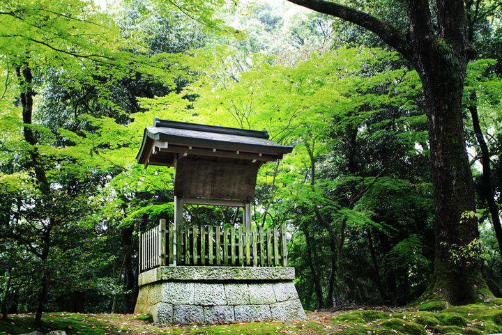 日本金阁寺照片图片