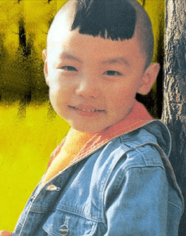 从家喻户晓到销声匿迹宫傲到底经历了什么