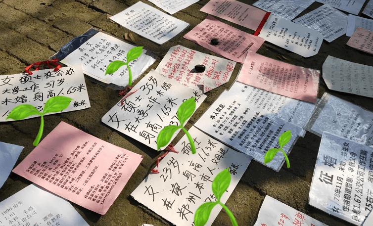 从科技博物馆旁边的入口进入,穿过竹林进来就是绿城广场的相亲角了