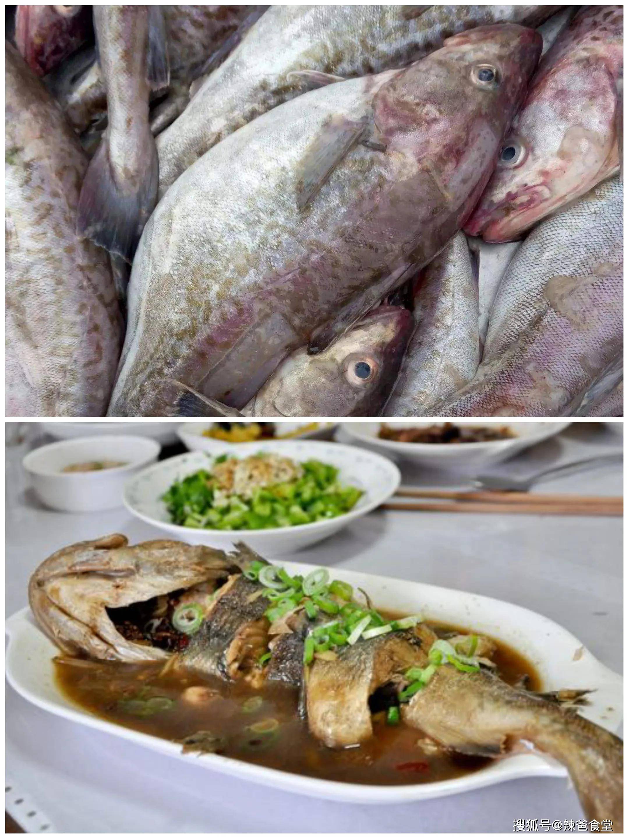 中国市场上有哪些食用鱼类品种？养殖方式各有什么特点？ - 知乎