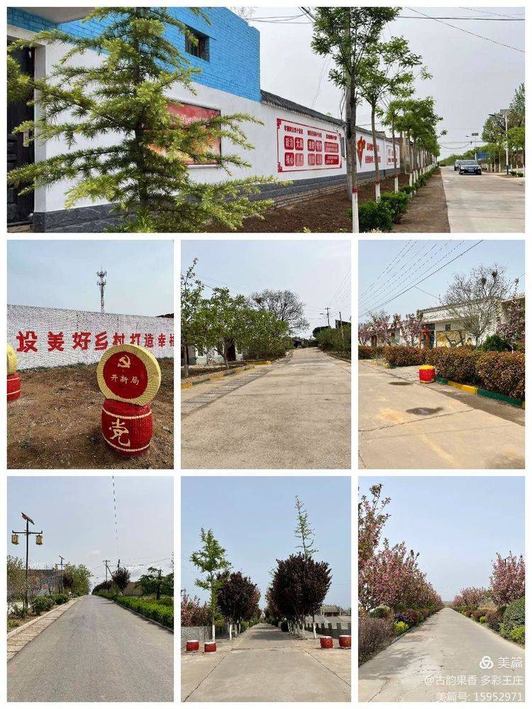 澄城县王庄镇积极迎接全县人居环境整治第一季度现场观摩