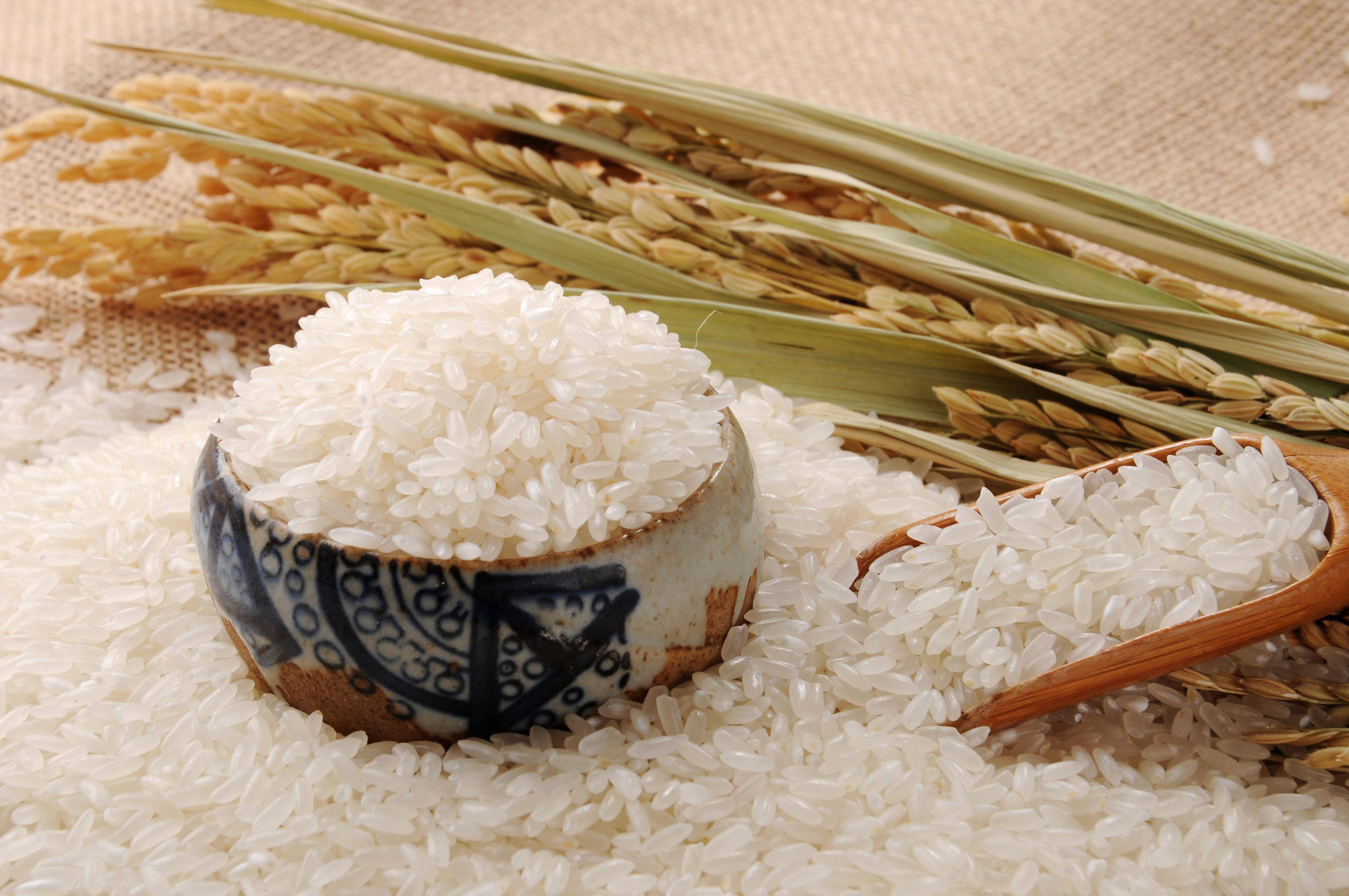 米饭的种类图片大全图片