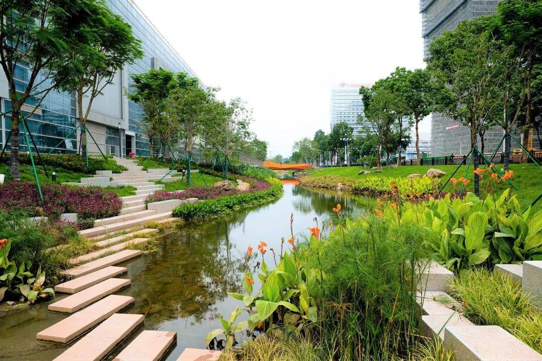 一条蓝色命脉的重生激发羊城新活力广州大坦沙岛