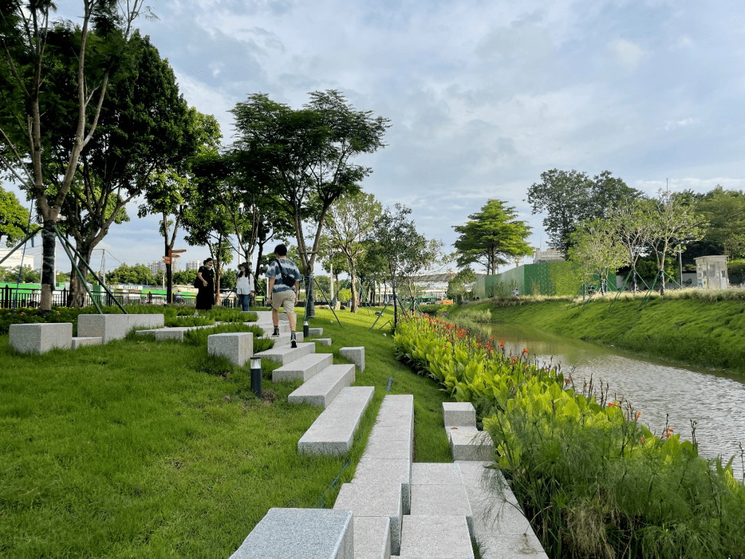 一条蓝色命脉的重生激发羊城新活力广州大坦沙岛