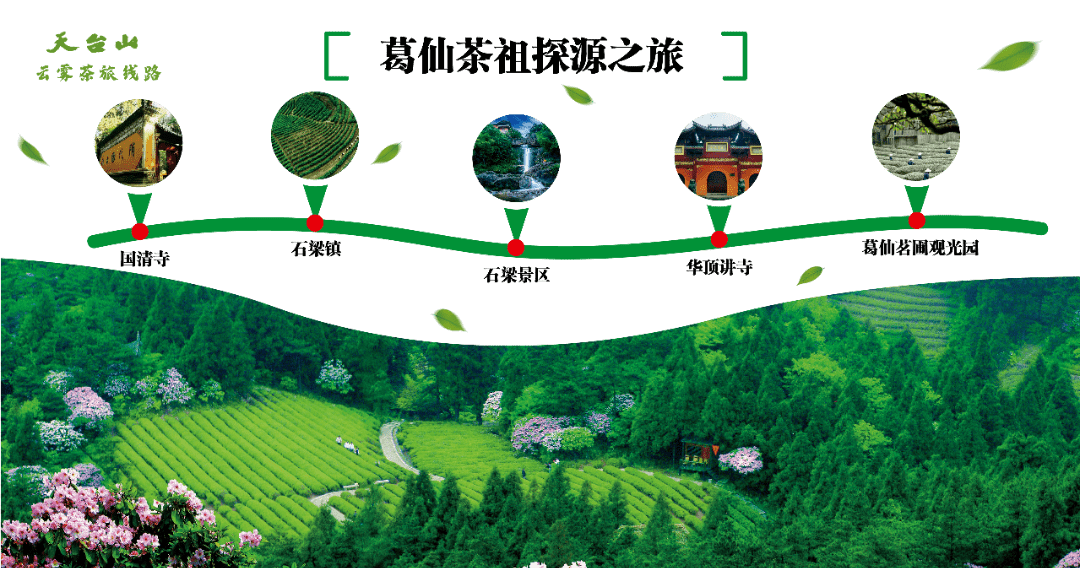 天台山云雾茶旅线路隔着屏幕满满茶香