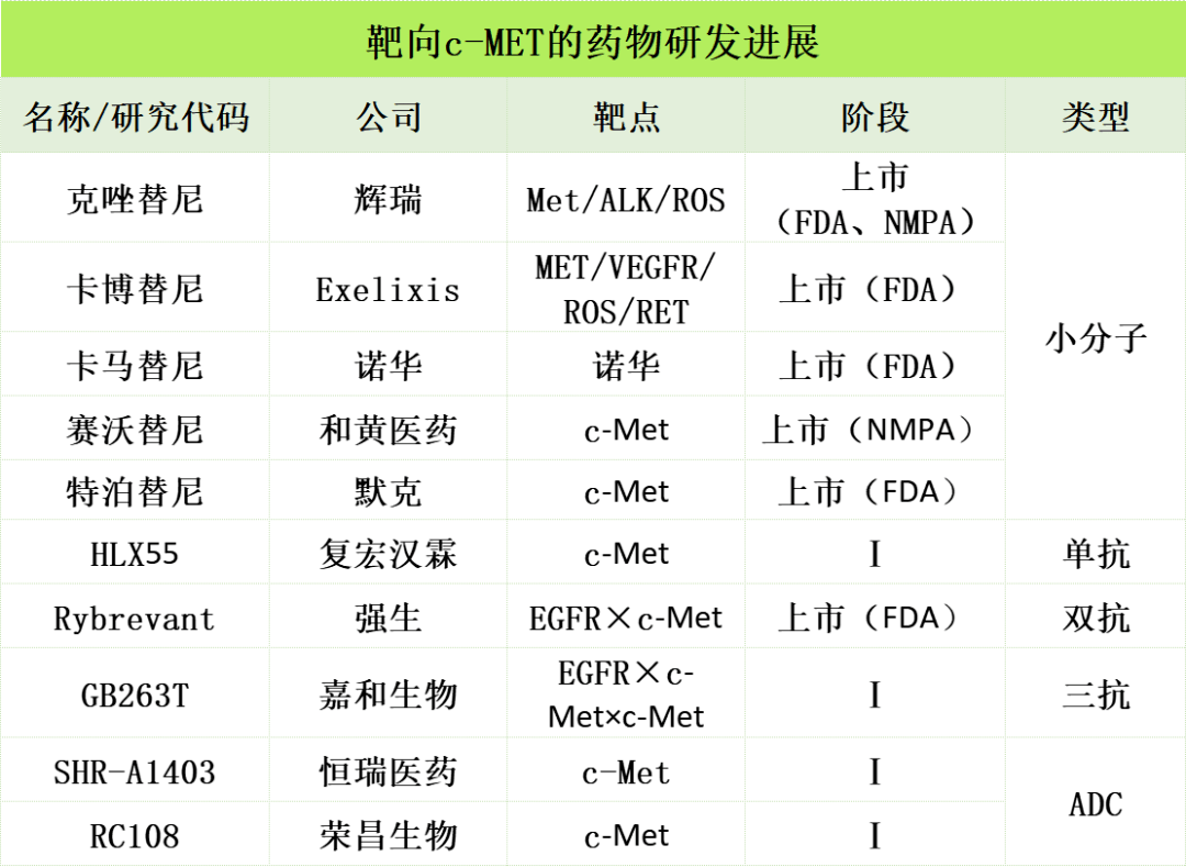 分子tkis可分為多激酶met抑制劑和選擇性met抑制劑,前者包括克唑替尼