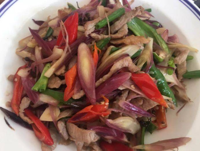 阳荷姜_减肥_生活