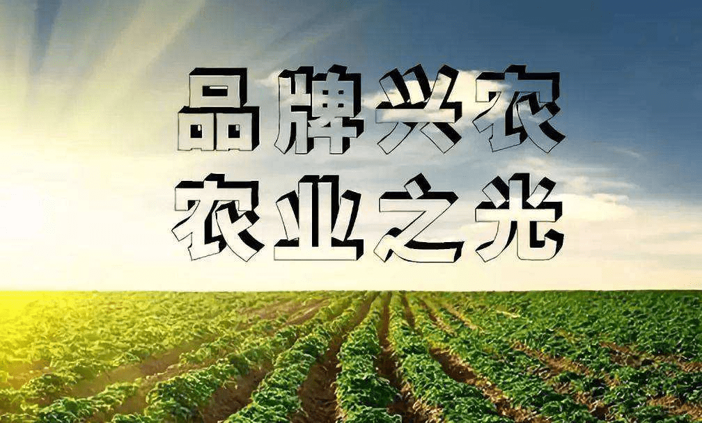 推进农业品牌化,标准化道路怎么走?_农产品_生产_条形码