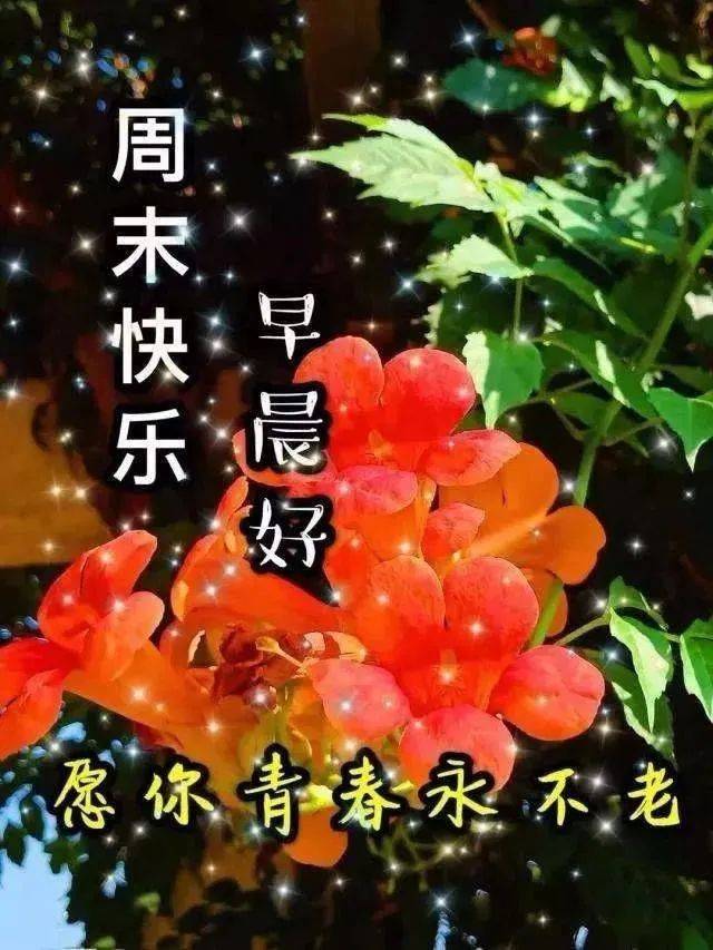 原創417星期六最新版早上好快樂祝福語錄大全早晨好漂亮祝福圖片鮮花