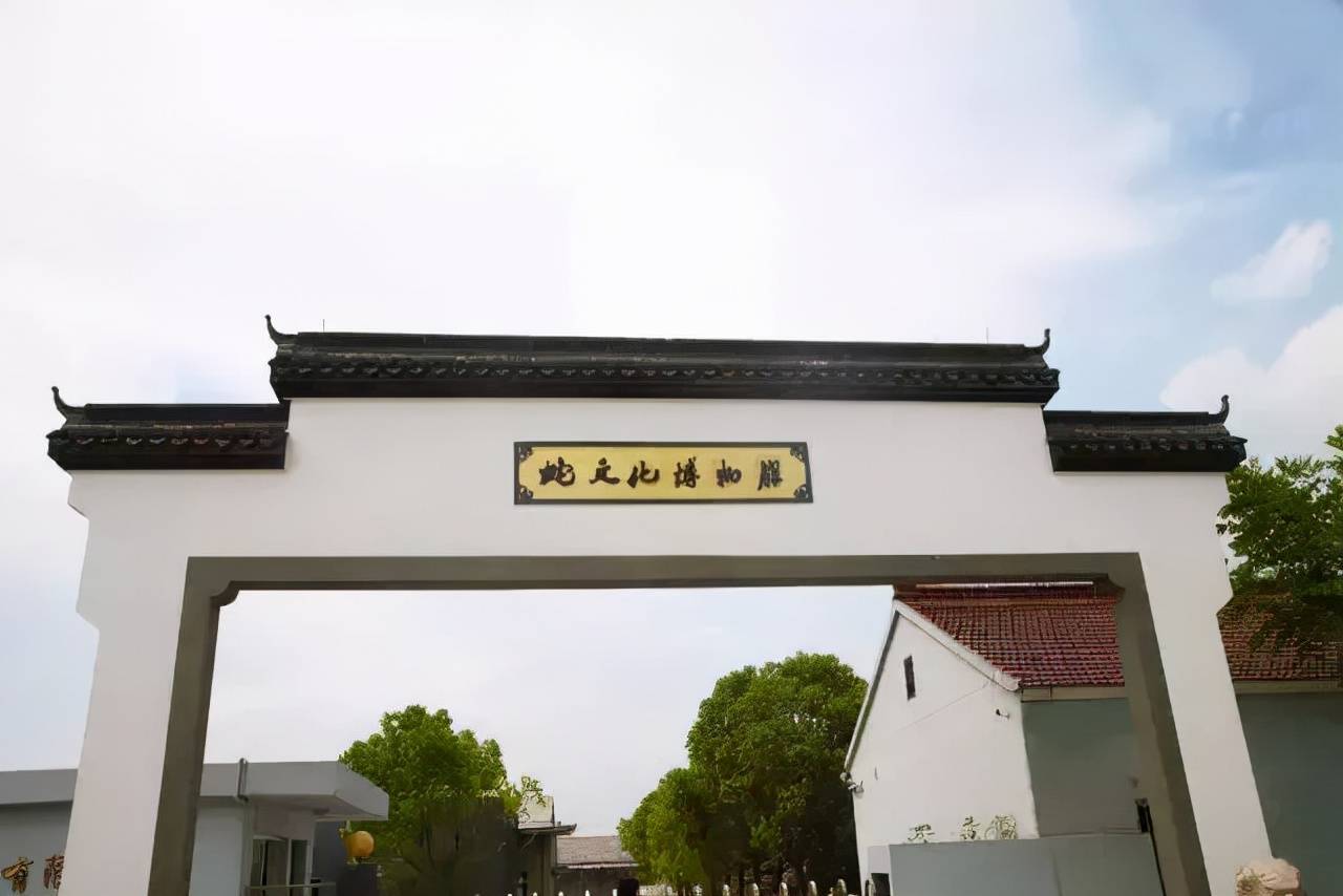 每晚枕着上万条蛇入眠这里的村民为了脱贫能有多拼