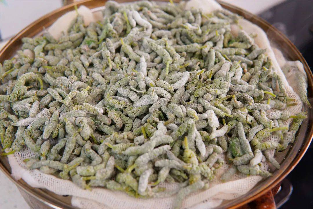 构树穗进icu的,就是过敏导致的,所以大家要想自己去采摘野菜来吃的话