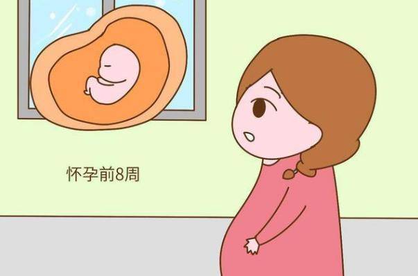 发育的过程中有三个黄金期,第一:胎儿在未出生之前,怀孕第5周左右胎儿
