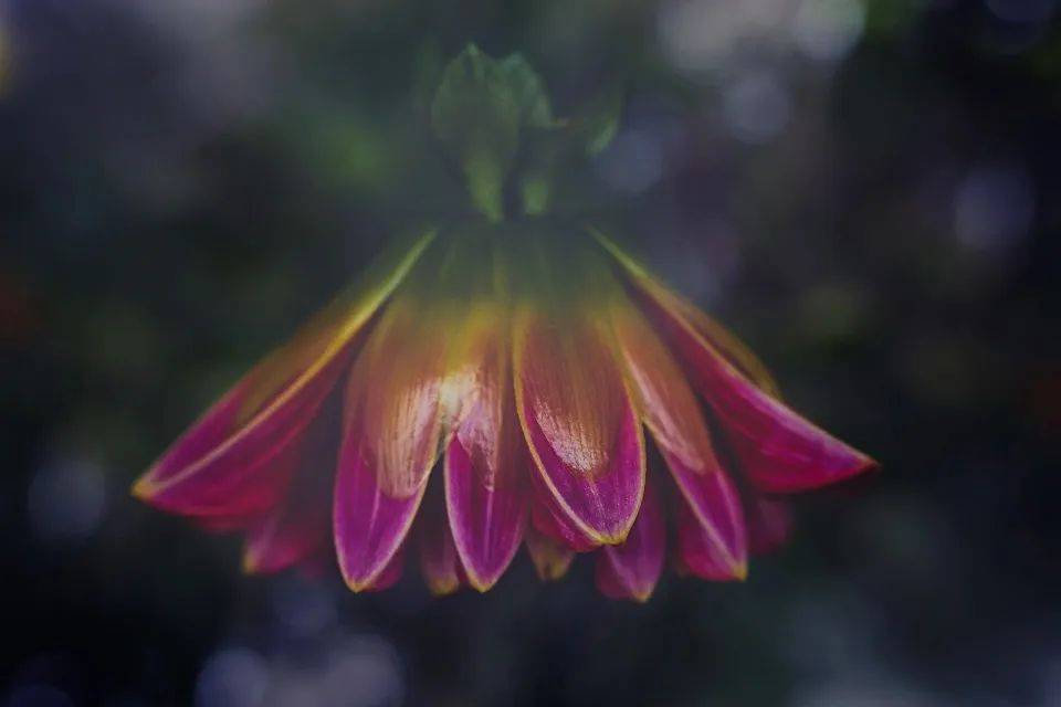 ​用户普及率高达50%,电热水器质量却不乐观令人担忧-家电圈官网