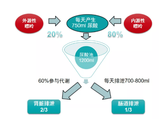 整合营销传播