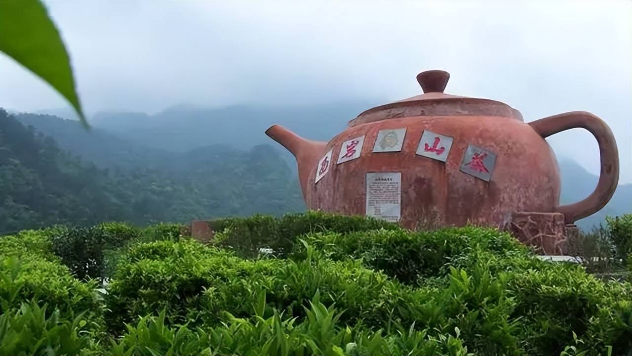 大埔县西岩茶乡度假村图片