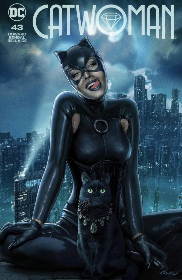 蝙蝠侠女朋友猫女图片