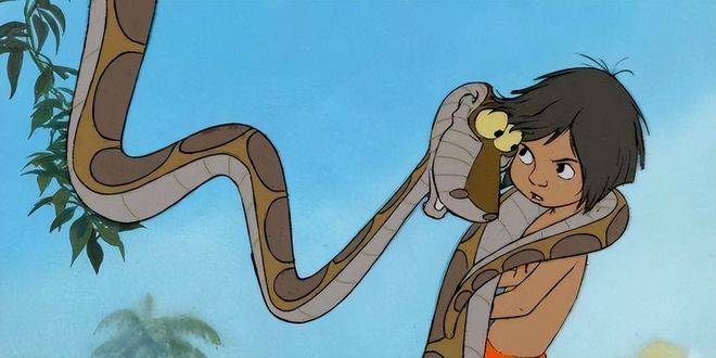 原创38米50斤蟒蛇安家深圳工业园吃啥能长这么大吃流浪狗吗