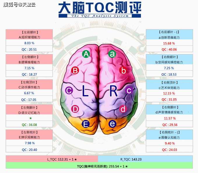 天赋云大脑测评