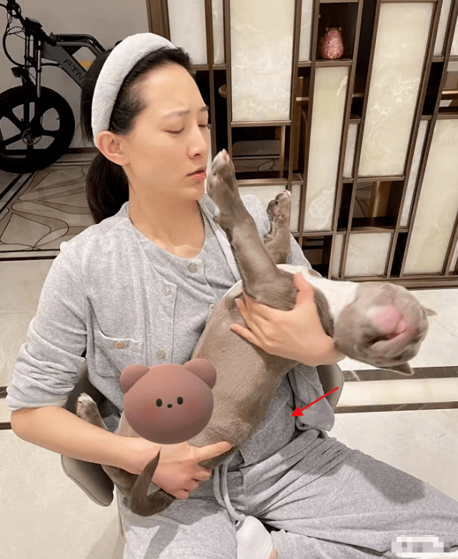 聂远老婆秦子越晒照,腹部凸起遮不住,曾被妈妈女儿轮流催生二胎