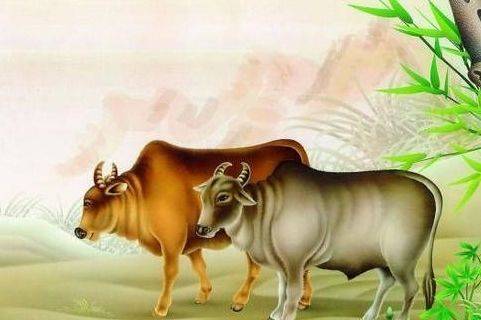 最痴情的三大生肖,爱上了就不会改变了_龙的_爱情_那也