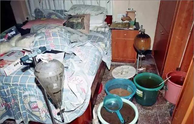 原型案件比电视剧凶残百倍!_剧中_保护_博社村