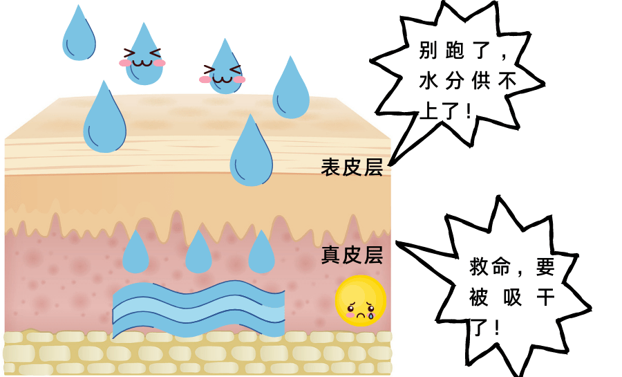 皮肤_水分_流失