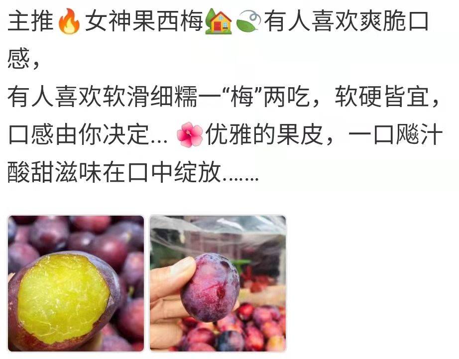 水果店文案:西梅的水果文案,西梅水果的文案_限制_工作_都会