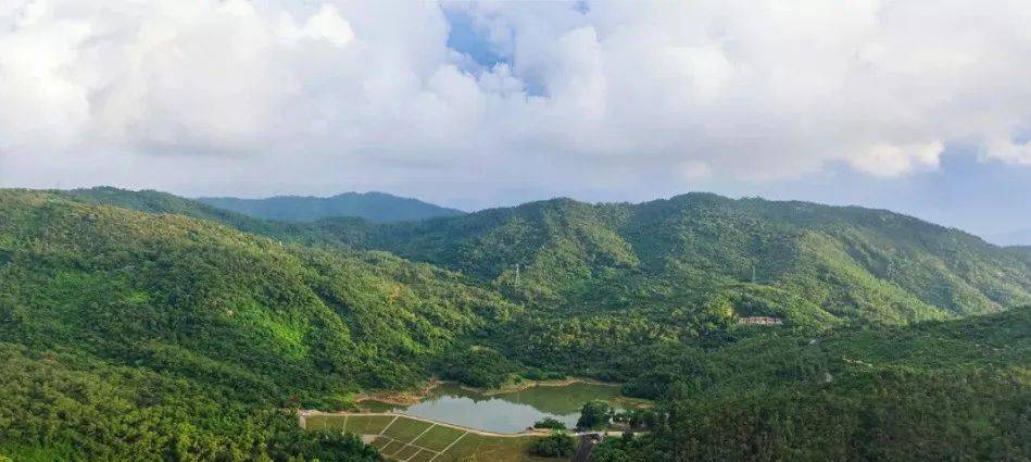 近山鮮氧:私藏24km2黑白麵將軍山,鮮氧潤澤,森系生活健康生活:十字門