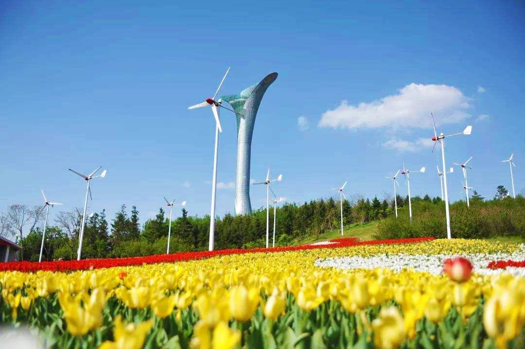 原创春游踏青丨沈阳春天正确的打开方式