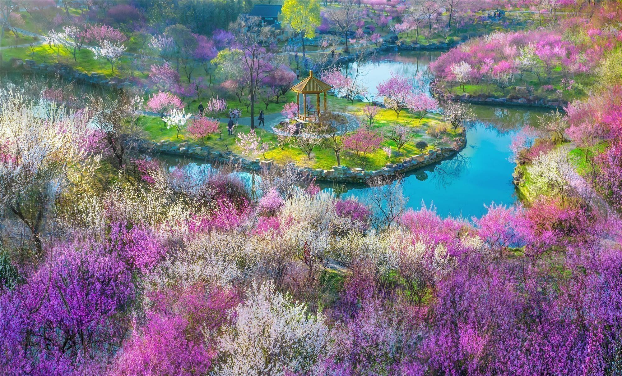 瘦西湖万花园十景春色正撩人